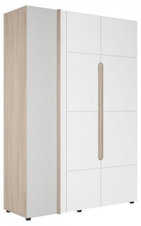 Шкаф платяной Данк в Добрянке - dobryanka.ok-mebel.com | фото