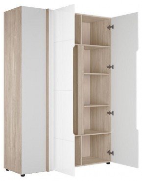 Шкаф платяной Данк в Добрянке - dobryanka.ok-mebel.com | фото 2
