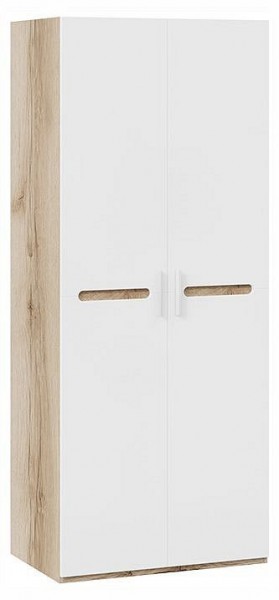 Шкаф платяной Фьюжн ТД-260.07.02 в Добрянке - dobryanka.ok-mebel.com | фото