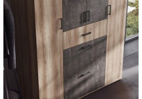 Шкаф платяной Паркинс в Добрянке - dobryanka.ok-mebel.com | фото 3