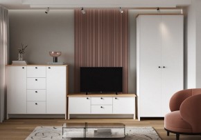 Шкаф платяной Теодора в Добрянке - dobryanka.ok-mebel.com | фото 4