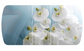 Стол Бостон-3 (Белая Орхидея) 1100/1420*700, опора Брифинг в Добрянке - dobryanka.ok-mebel.com | фото 2