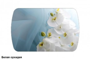 Стол Бостон 900*600 (опоры Брифинг) Стекло/фотопечать Белая Орхидея в Добрянке - dobryanka.ok-mebel.com | фото