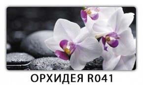 Стол обеденный Трилогия с фотопечатью Орхидея R041 в Добрянке - dobryanka.ok-mebel.com | фото 7