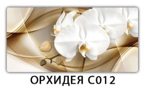 Стол раздвижной Трилогия с фотопечатью Орхидея C013 в Добрянке - dobryanka.ok-mebel.com | фото 12