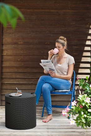 Столик-холодильник Кул-Стул (Cool stool) графит в Добрянке - dobryanka.ok-mebel.com | фото