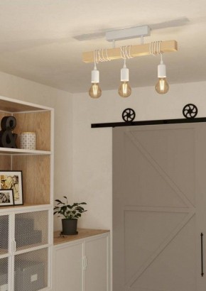 Светильник на штанге Eglo TOWNSHEND 44082 в Добрянке - dobryanka.ok-mebel.com | фото 2