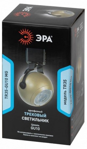 Светильник на штанге Эра  TR35-GU10 MG в Добрянке - dobryanka.ok-mebel.com | фото 4
