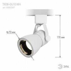 Светильник на штанге Эра  TR38-GU10 WH в Добрянке - dobryanka.ok-mebel.com | фото 6