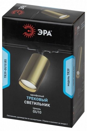 Светильник на штанге Эра  TR39-GU10 BS в Добрянке - dobryanka.ok-mebel.com | фото 4