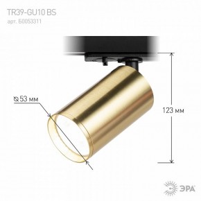 Светильник на штанге Эра  TR39-GU10 BS в Добрянке - dobryanka.ok-mebel.com | фото 6