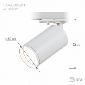 Светильник на штанге Эра  TR39-GU10 WH в Добрянке - dobryanka.ok-mebel.com | фото 7