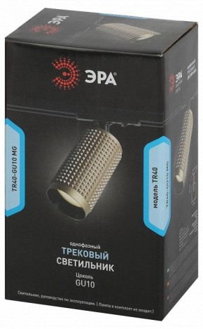 Светильник на штанге Эра  TR40-GU10 MG в Добрянке - dobryanka.ok-mebel.com | фото 8