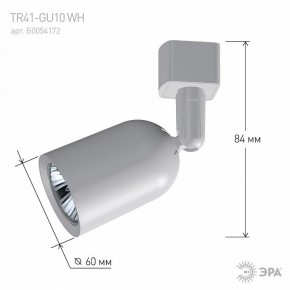 Светильник на штанге Эра  TR41-GU10 WH в Добрянке - dobryanka.ok-mebel.com | фото 9