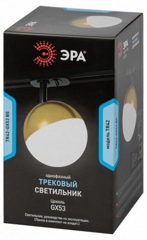 Светильник на штанге Эра  TR42-GX53 BS в Добрянке - dobryanka.ok-mebel.com | фото 6