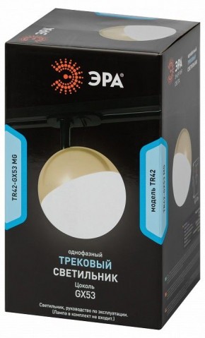 Светильник на штанге Эра  TR42-GX53 MG в Добрянке - dobryanka.ok-mebel.com | фото 6