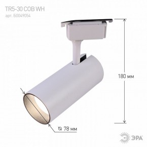Светильник на штанге Эра  TR5-30 COB WH в Добрянке - dobryanka.ok-mebel.com | фото 6
