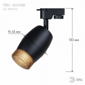 Светильник на штанге Эра  TR51 - GU10 BK в Добрянке - dobryanka.ok-mebel.com | фото 4