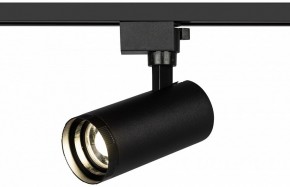 Светильник на штанге Эра  TR59 - 2040 BK в Добрянке - dobryanka.ok-mebel.com | фото 5