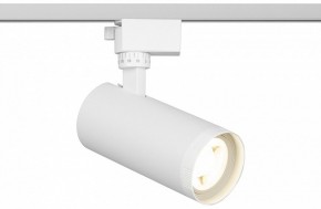 Светильник на штанге Эра  TR59 - 2040 WH в Добрянке - dobryanka.ok-mebel.com | фото