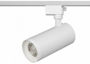 Светильник на штанге Эра  TR59 - 3030 WH в Добрянке - dobryanka.ok-mebel.com | фото 2