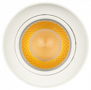 Светильник на штанге Эра  TR59 - 3030 WH в Добрянке - dobryanka.ok-mebel.com | фото 3