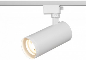 Светильник на штанге Эра  TR59 - 3030 WH в Добрянке - dobryanka.ok-mebel.com | фото 5