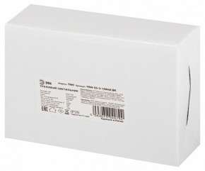 Светильник на штанге Эра  TRM-S5-3-12W4K-BK в Добрянке - dobryanka.ok-mebel.com | фото 8