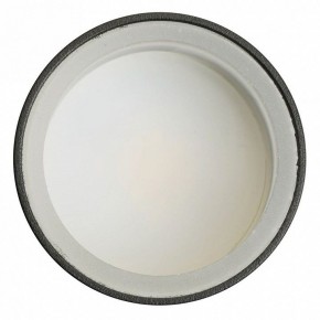 Светильник на штанге Feron ML1001 51371 в Добрянке - dobryanka.ok-mebel.com | фото 4
