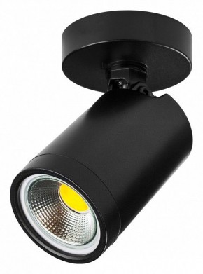Светильник на штанге Lightstar Rullo 213407 в Добрянке - dobryanka.ok-mebel.com | фото