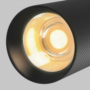 Светильник на штанге Maytoni Artisan TR097-2-12W2.7K-M-BB в Добрянке - dobryanka.ok-mebel.com | фото 9