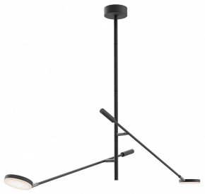 Светильник на штанге Maytoni Fad MOD070CL-L15B3K1 в Добрянке - dobryanka.ok-mebel.com | фото