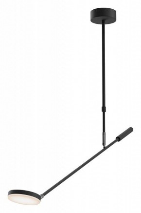 Светильник на штанге Maytoni Fad MOD070CL-L8B3K в Добрянке - dobryanka.ok-mebel.com | фото
