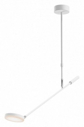Светильник на штанге Maytoni Fad MOD070CL-L8W3K в Добрянке - dobryanka.ok-mebel.com | фото