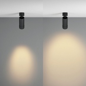 Светильник на штанге Maytoni Focus Zoom C055CL-L12W2.7K-Z-B в Добрянке - dobryanka.ok-mebel.com | фото 3
