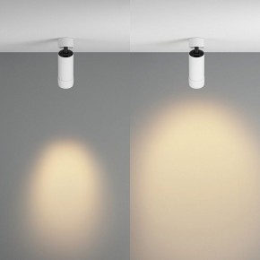 Светильник на штанге Maytoni Focus Zoom C055CL-L12W2.7K-Z-W в Добрянке - dobryanka.ok-mebel.com | фото 3