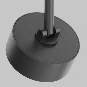 Светильник на штанге Maytoni Lens TR217-2-15W3K-B в Добрянке - dobryanka.ok-mebel.com | фото 11