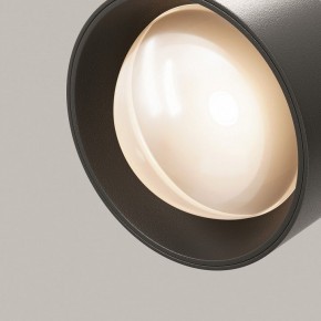 Светильник на штанге Maytoni Lens TR217-2-15W3K-B в Добрянке - dobryanka.ok-mebel.com | фото 12