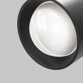Светильник на штанге Maytoni Lens TR217-2-15W4K-B в Добрянке - dobryanka.ok-mebel.com | фото 10
