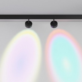 Светильник на штанге Maytoni Lens TR217-2-15W4K-B в Добрянке - dobryanka.ok-mebel.com | фото 6