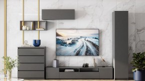 Тумба под ТВ Сибити в Добрянке - dobryanka.ok-mebel.com | фото 3