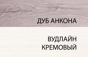 Тумба RTV 1V2D1S, OLIVIA, цвет вудлайн крем/дуб анкона в Добрянке - dobryanka.ok-mebel.com | фото 5