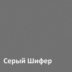 Юнона Шкаф торцевой 13.221 в Добрянке - dobryanka.ok-mebel.com | фото 2